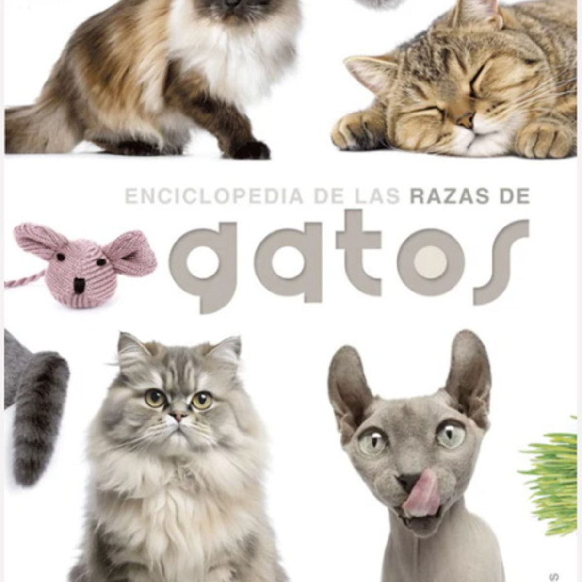 ANTARTICA LIBROS - Enciclopedia De Las Razas De Gatos