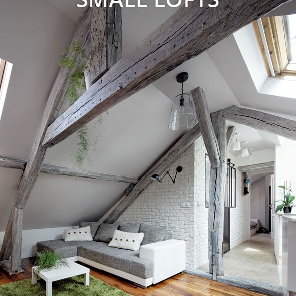 ANTARTICA LIBROS - Small Lofts