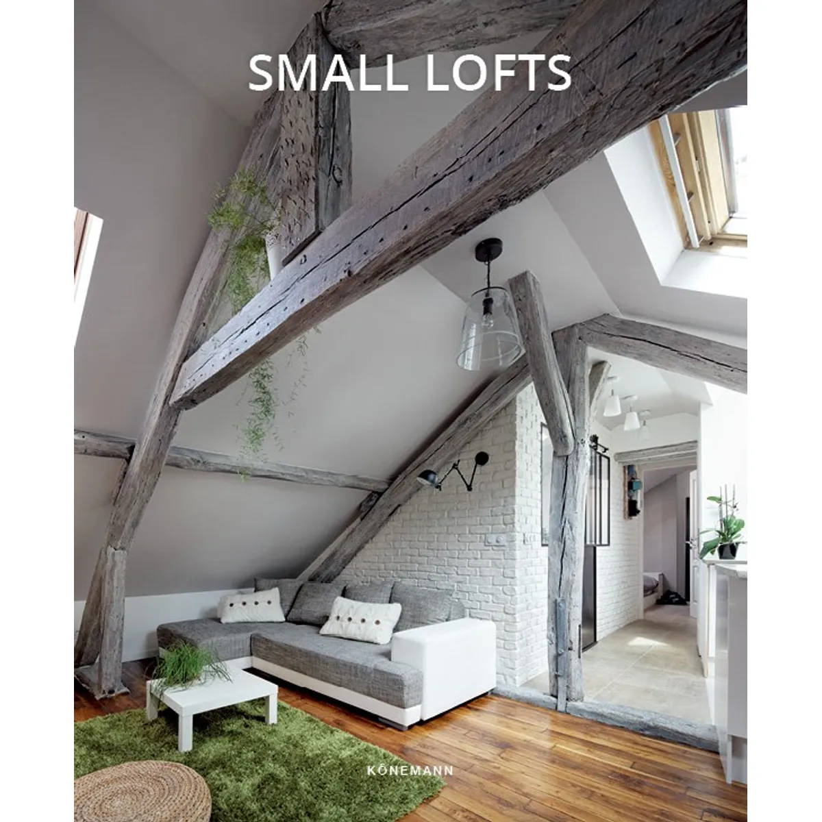 ANTARTICA LIBROS - Small Lofts
