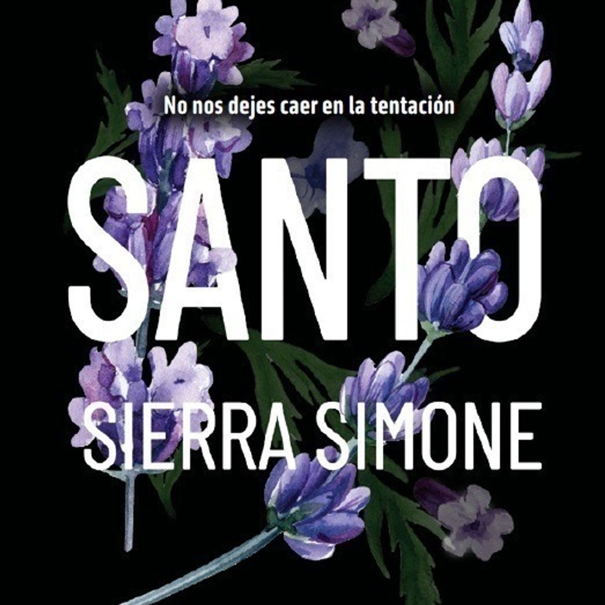 ANTARTICA LIBROS - Santo No Nos Dejes Caer En La Tentacion