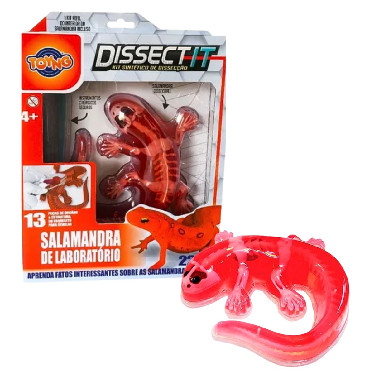 GENERICO - Juego De Laboratorio Disección Animales Sintético Stem