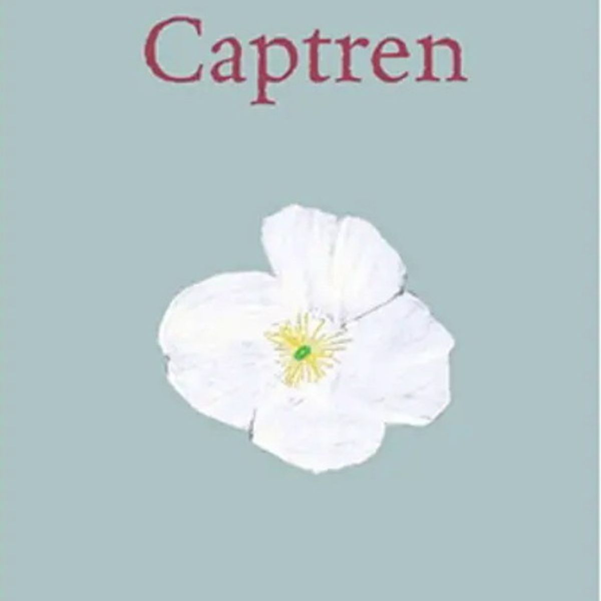 ANTARTICA LIBROS - Captren