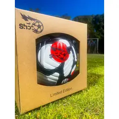 GENERICO - Balon de Futbol N°5 Termosellado