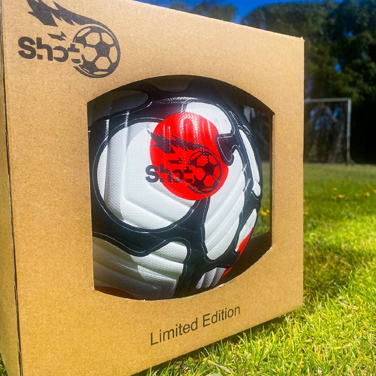 GENERICO - Balon de Futbol N°5 Termosellado