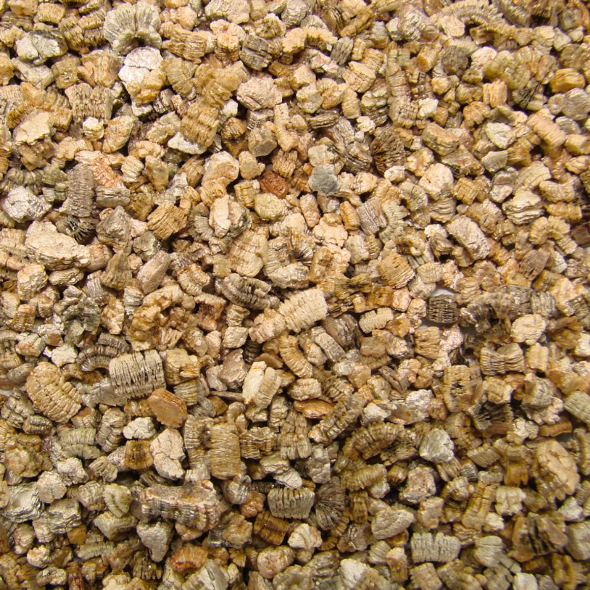 GENERICO - Vermiculita Mineral Expandida 5 Litros