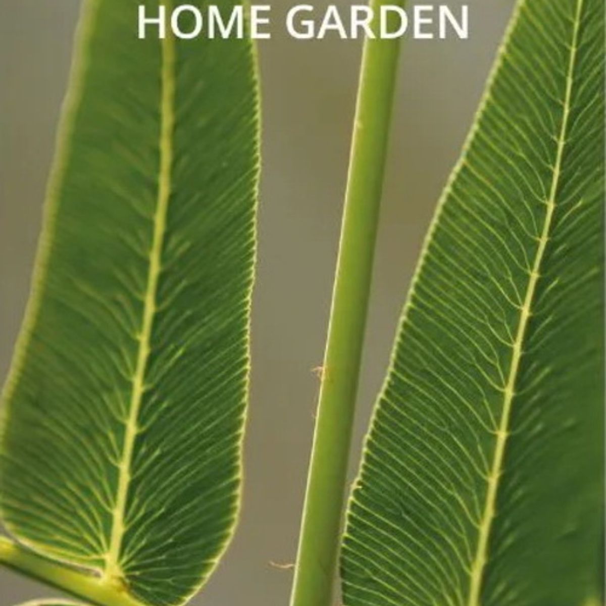 ANTARTICA LIBROS - Home Garden