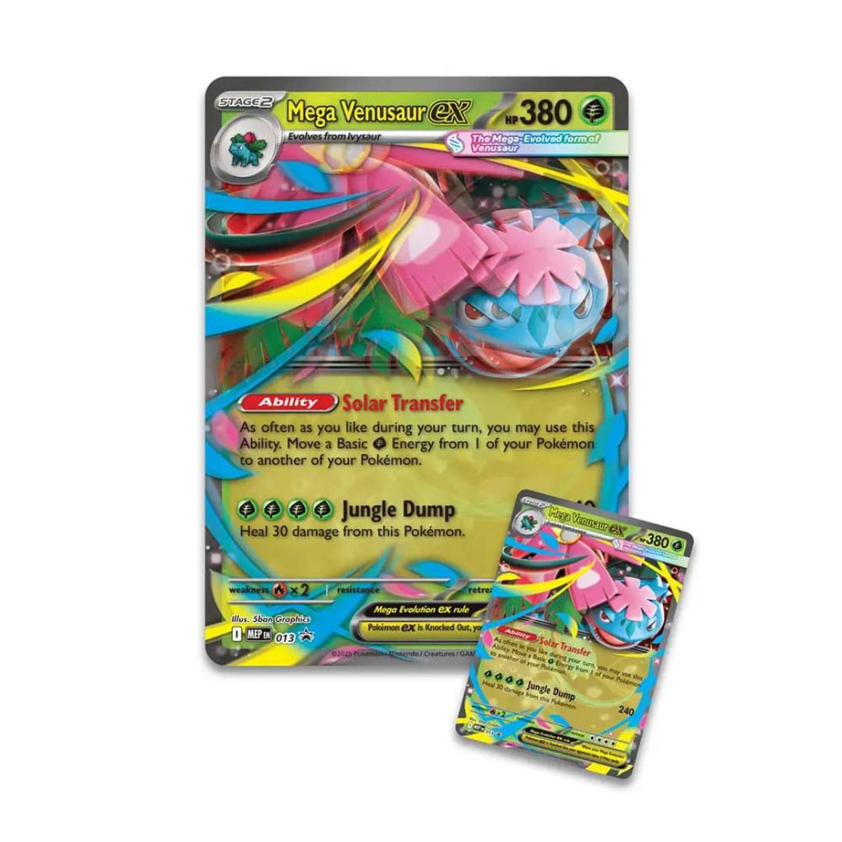 POKEMON - Pokemon TCG: Mega Venusaur ex Premium Collection Ingles