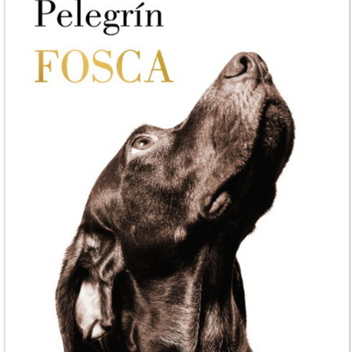 ANTARTICA LIBROS - Fosca Premio Lumen 2025