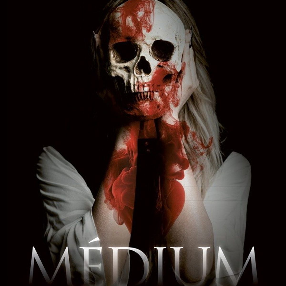 ANTARTICA LIBROS - Medium