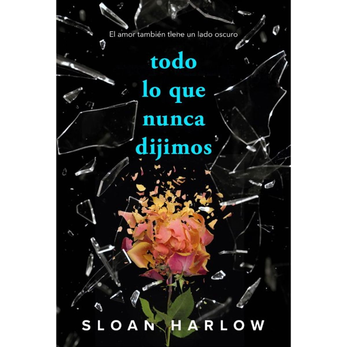 ANTARTICA LIBROS - TODO LO QUE NUNCA DIJIMOS