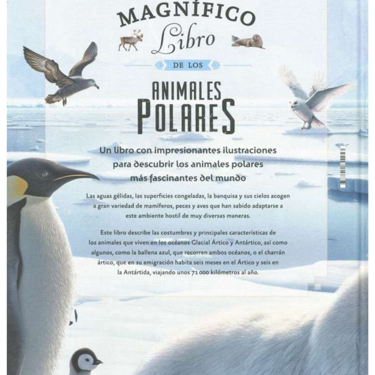 SUSAETA - El magnífico libro de los animales polares