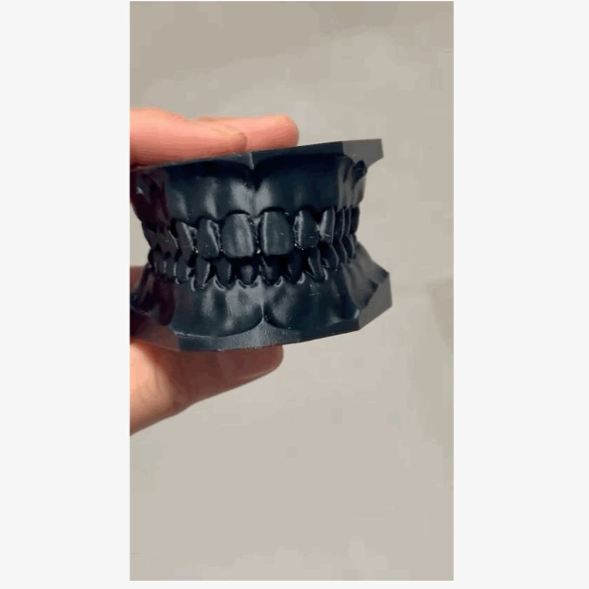 GENERICO - Modelo dental didáctico