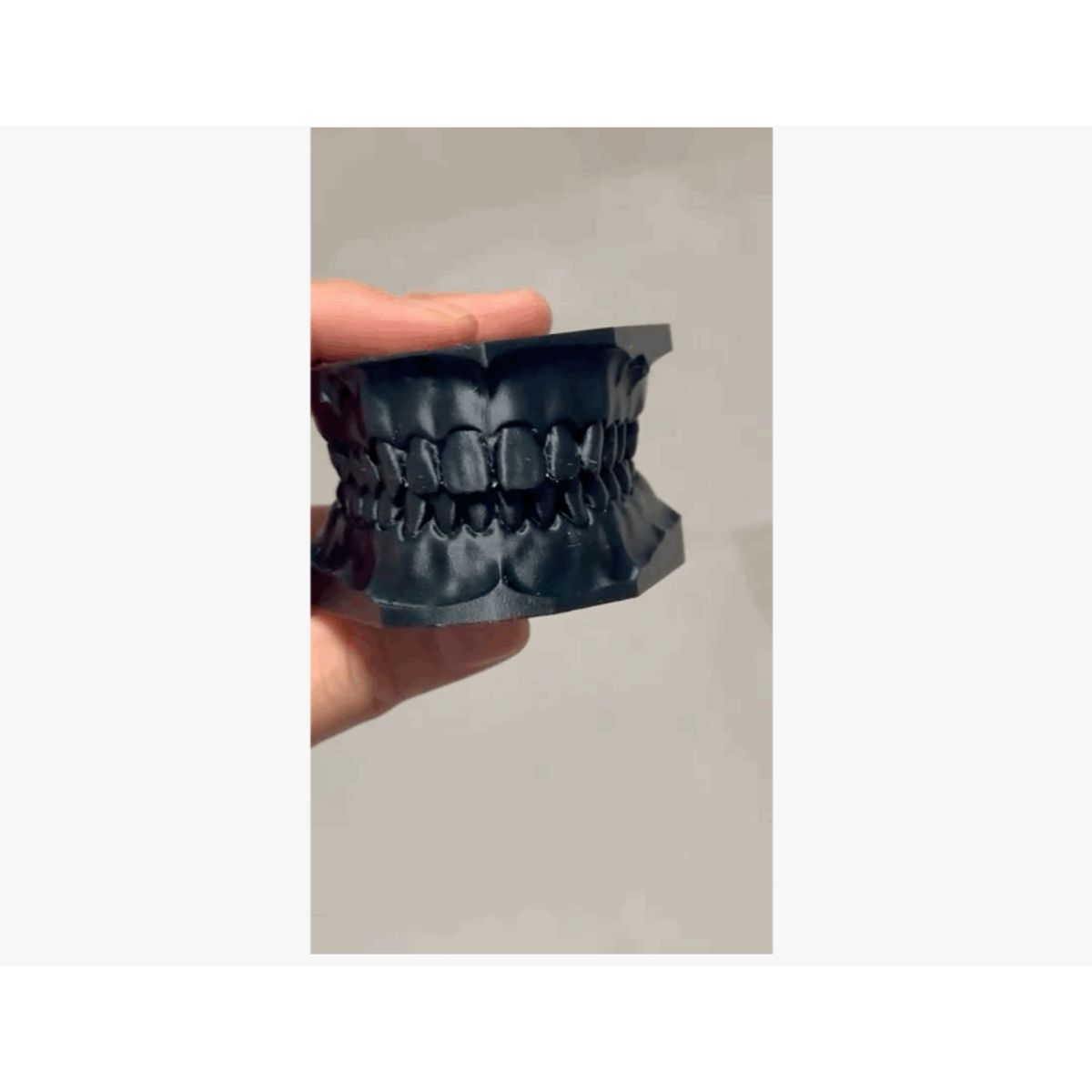 GENERICO - Modelo dental didáctico