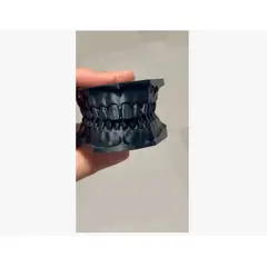 GENERICO - Modelo dental didáctico