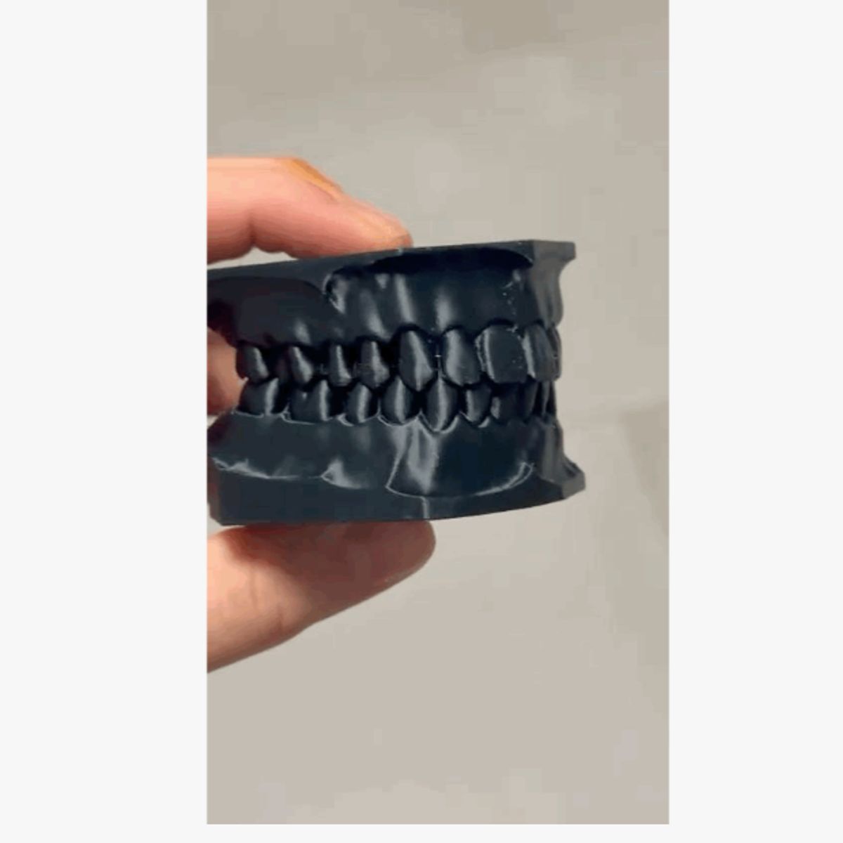 GENERICO - Modelo dental didáctico