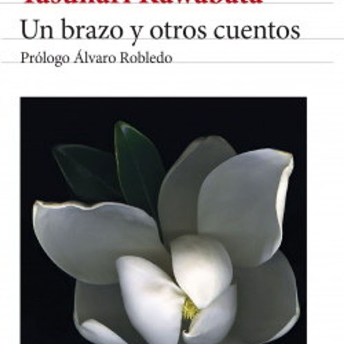 ANTARTICA LIBROS - UN ABRAZO Y OTROS CUENTOS