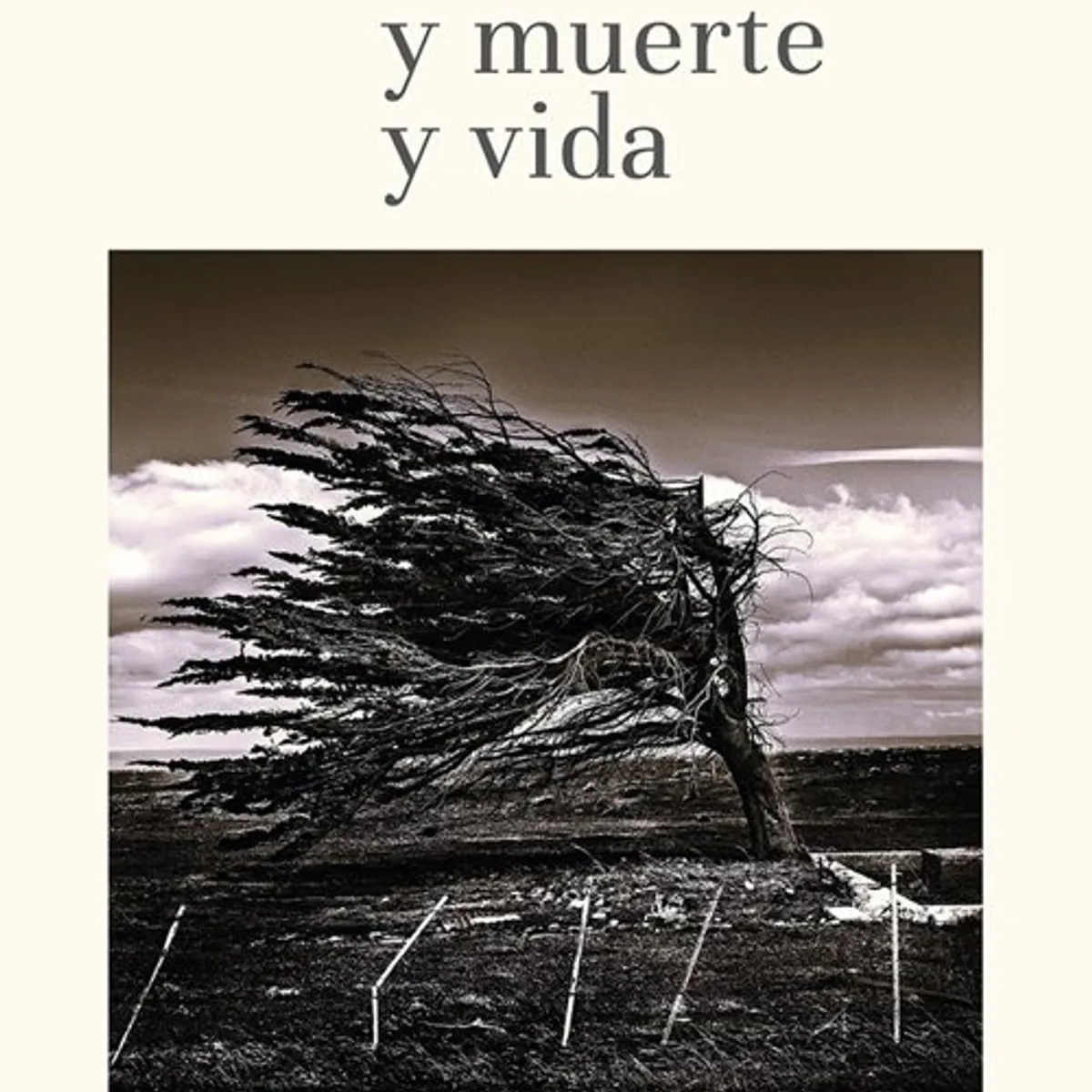 ANTARTICA LIBROS - De Vida Y Muerte Y Vida