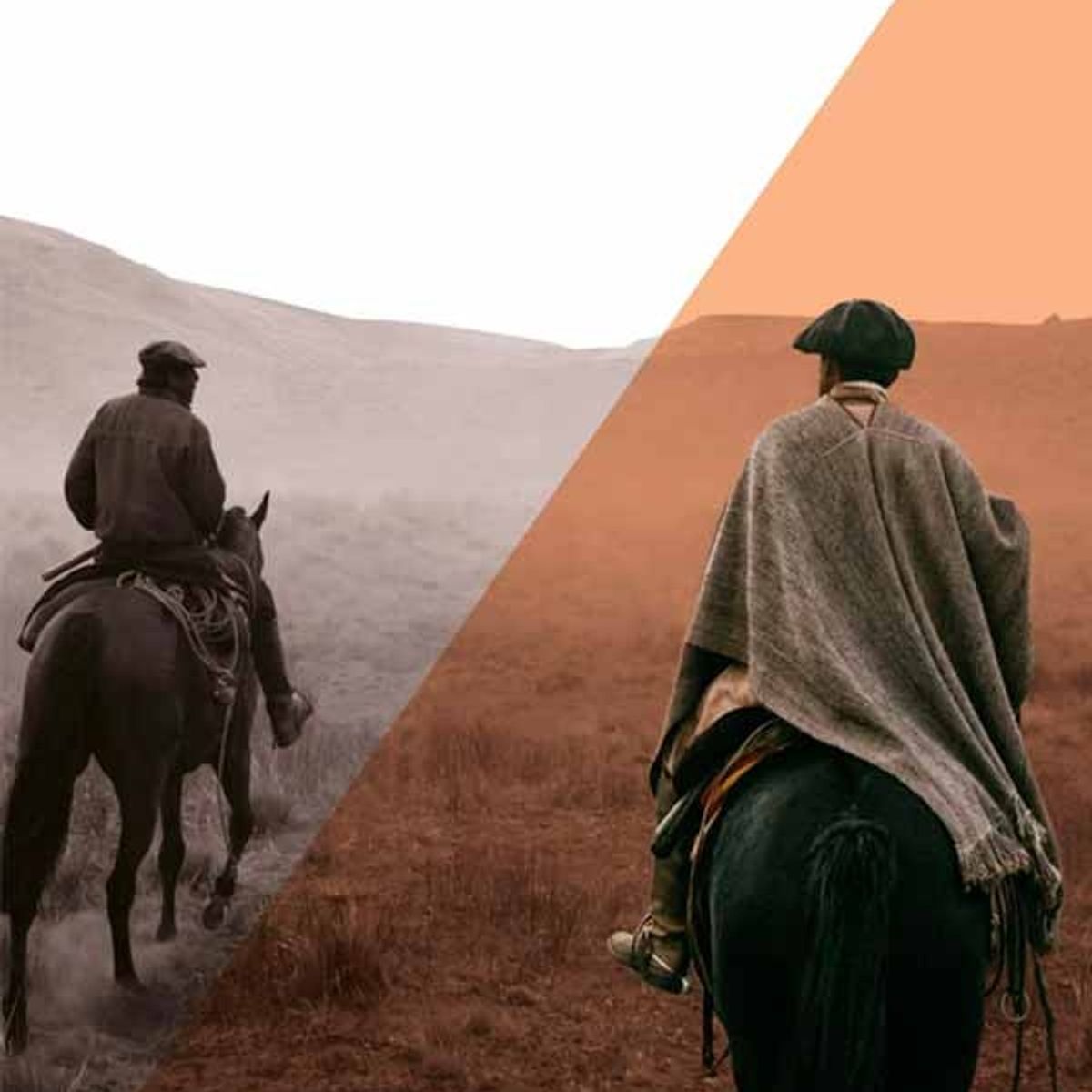 ANTARTICA LIBROS - Paramo Herido