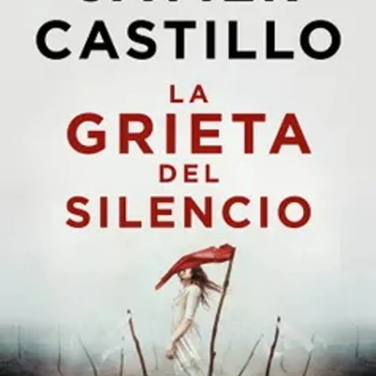 ANTARTICA LIBROS - La Grieta Del Silencio