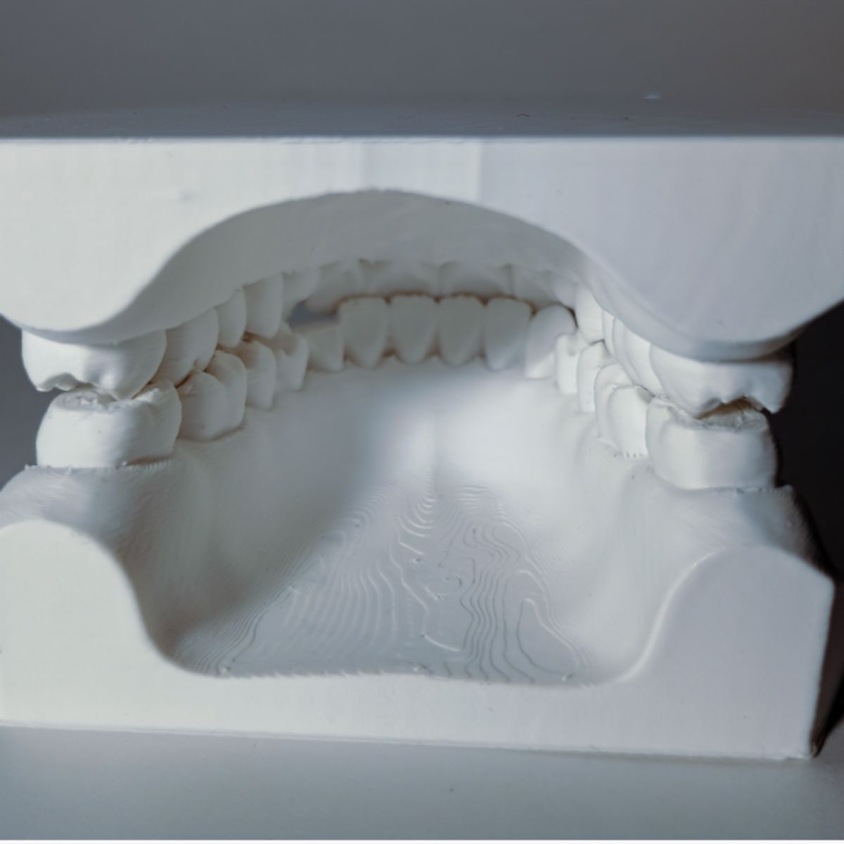 GENERICO - Modelo dental para enseñanza