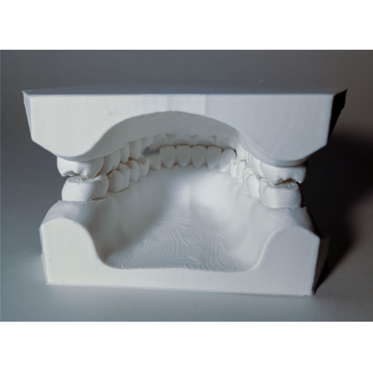 GENERICO - Modelo dental para enseñanza