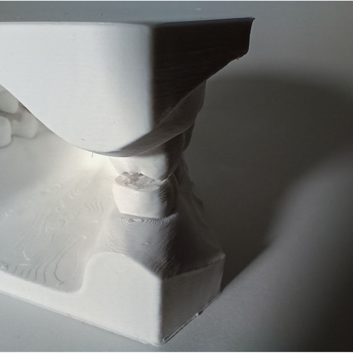 GENERICO - Modelo dental para enseñanza