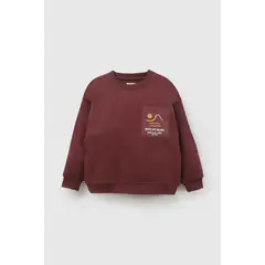 COLLOKY - Polerón Rojo Niño 7352