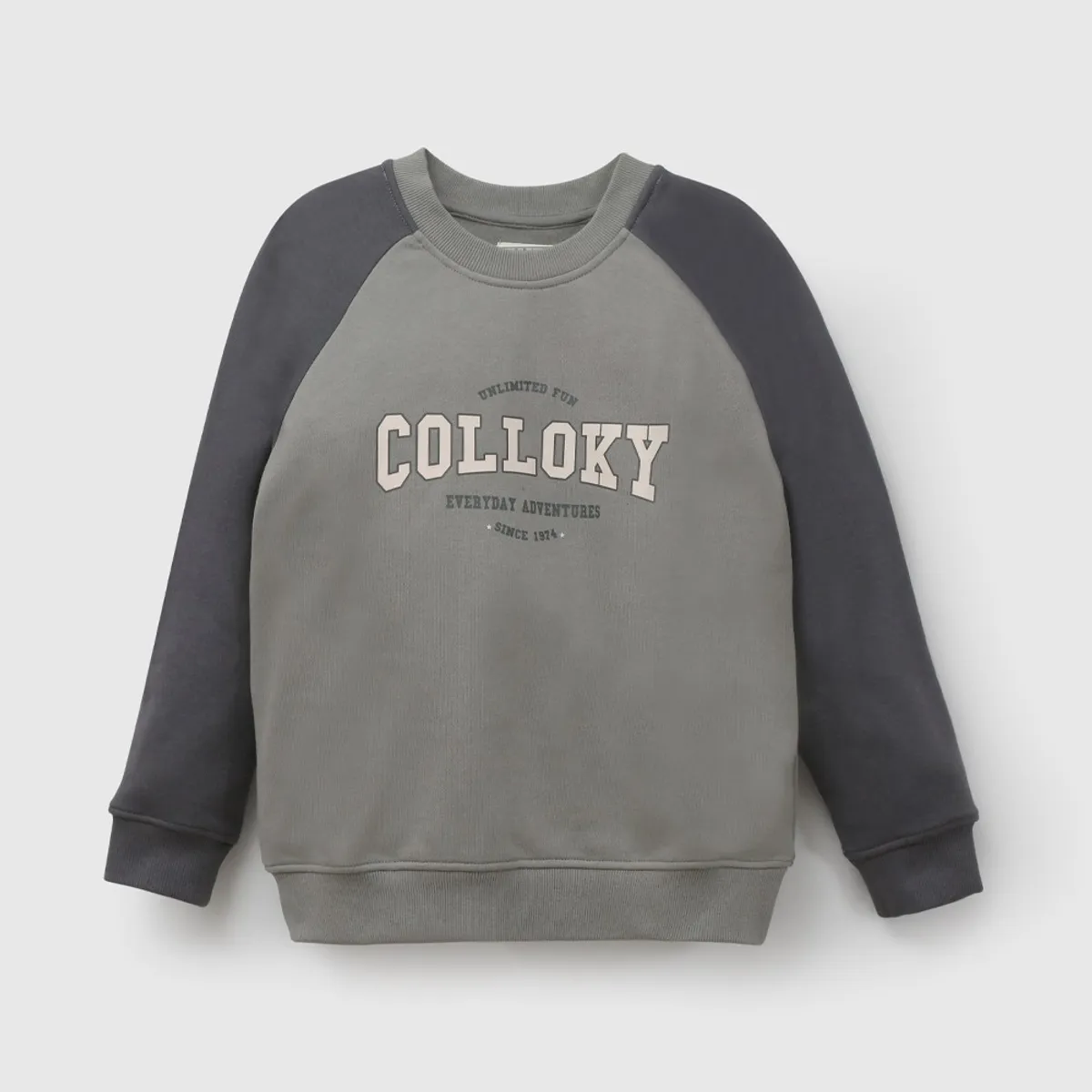 COLLOKY - Polerón Gris Niño 7563