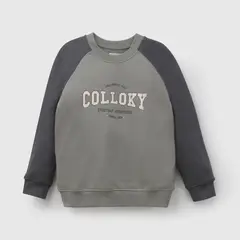 COLLOKY - Polerón Gris Niño 7563