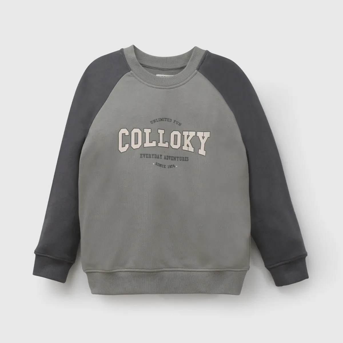 COLLOKY - Polerón Gris Niño 7563