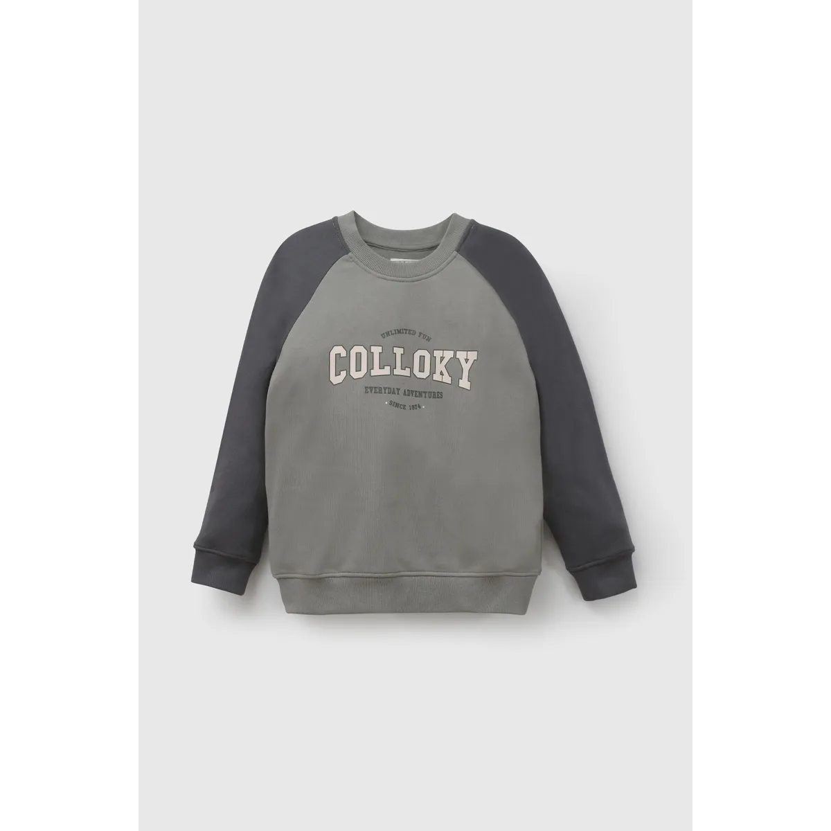 COLLOKY - Polerón Gris Niño 7563