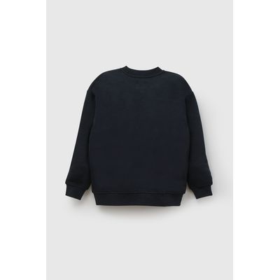 Imagen 2 del producto Polerón Celeste Niño 7519