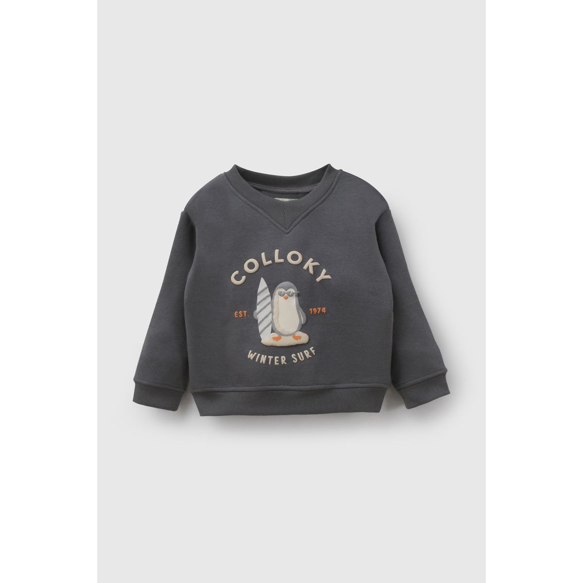 COLLOKY - Polerón Gris Niño 7557