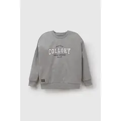 COLLOKY - Polerón Gris Niño 7460