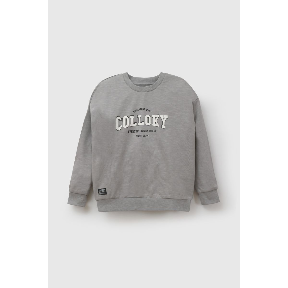 COLLOKY - Polerón Gris Niño 7460