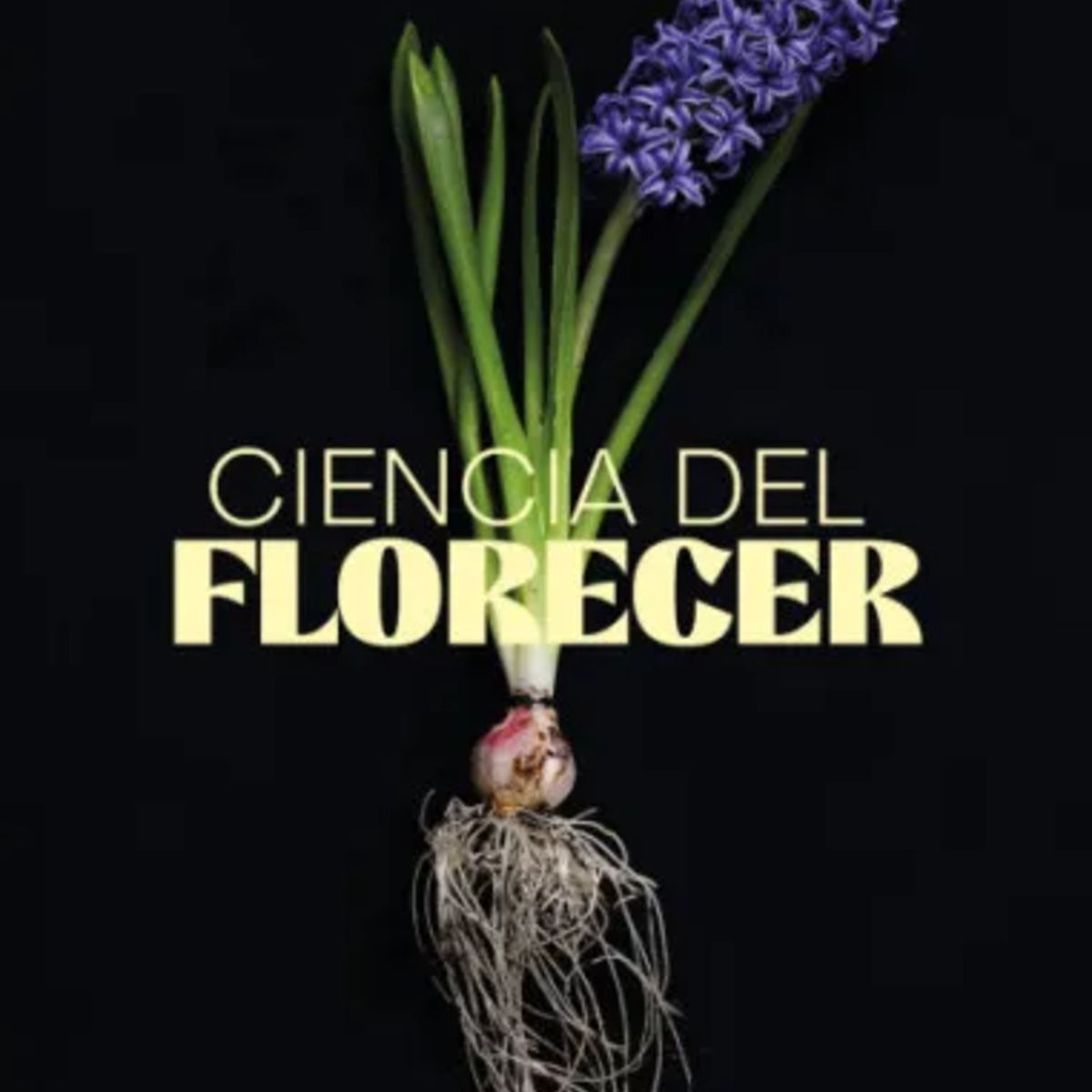 TOP10BOOKS - LIBRO Ciencia Del Florecer - Ciencia Del Florecer