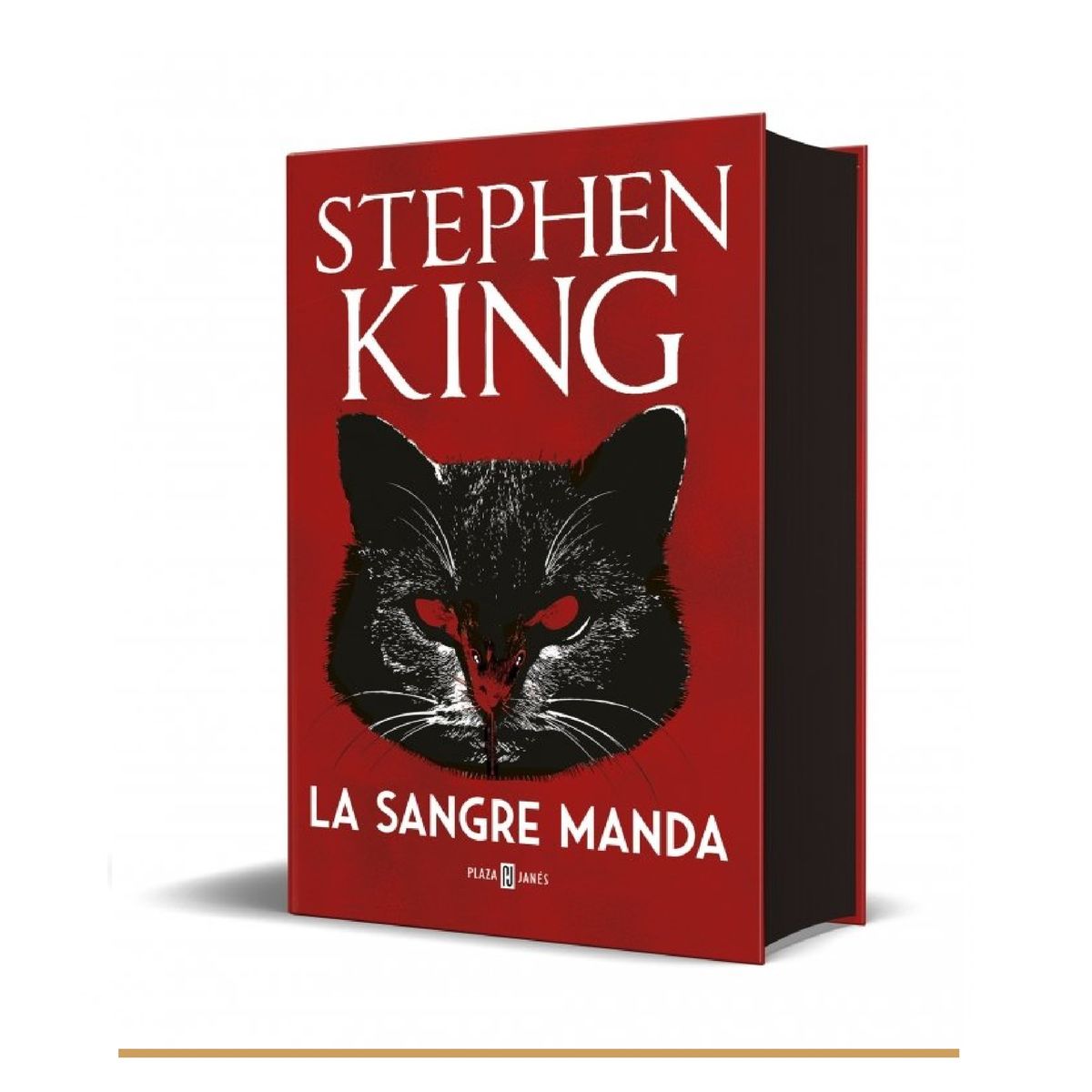 GENERICO - LA SANTA BIBLIA CON ATRIL Y LUPA LIBRO MINIATURA