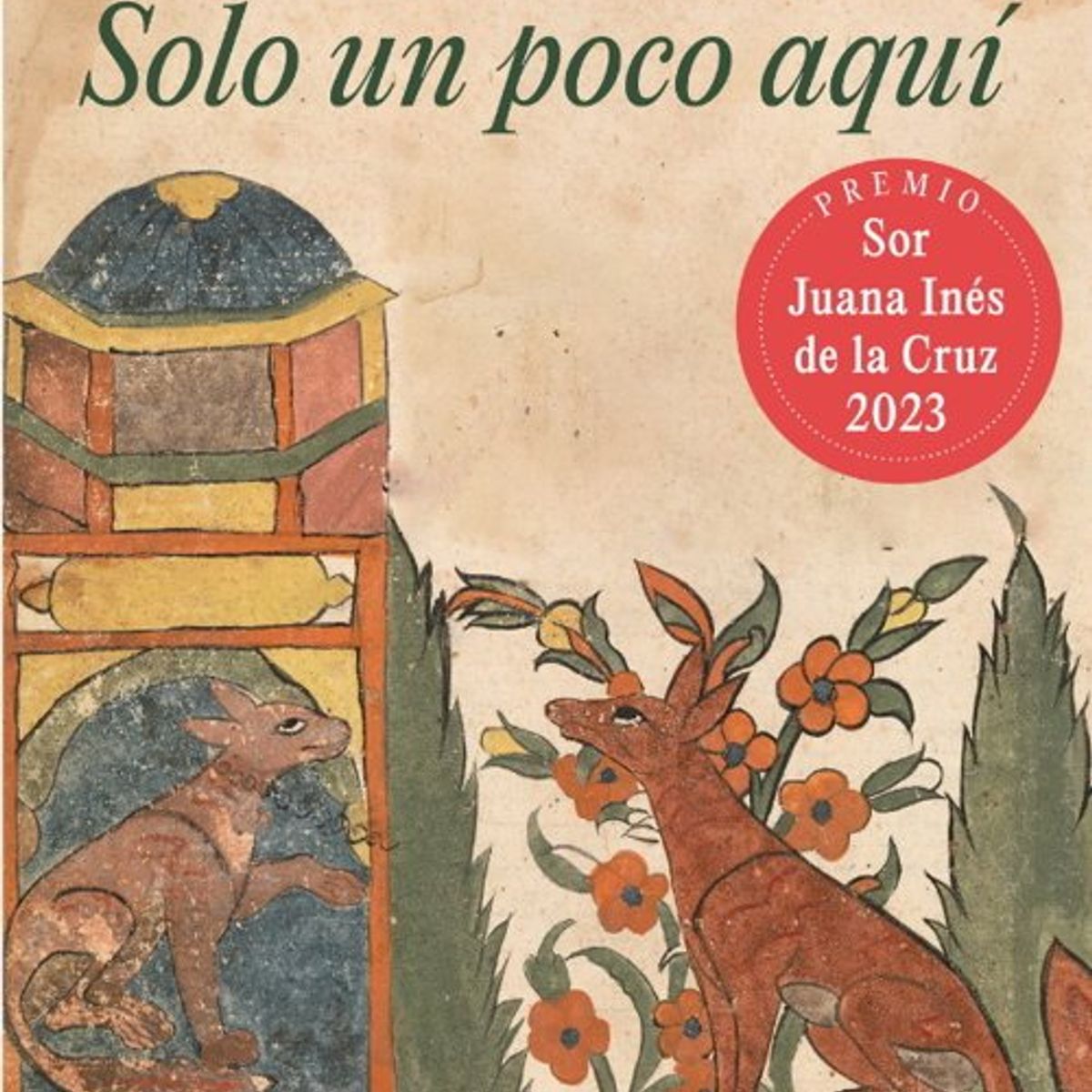 ANTARTICA LIBROS - Solo Un Poco Aqui