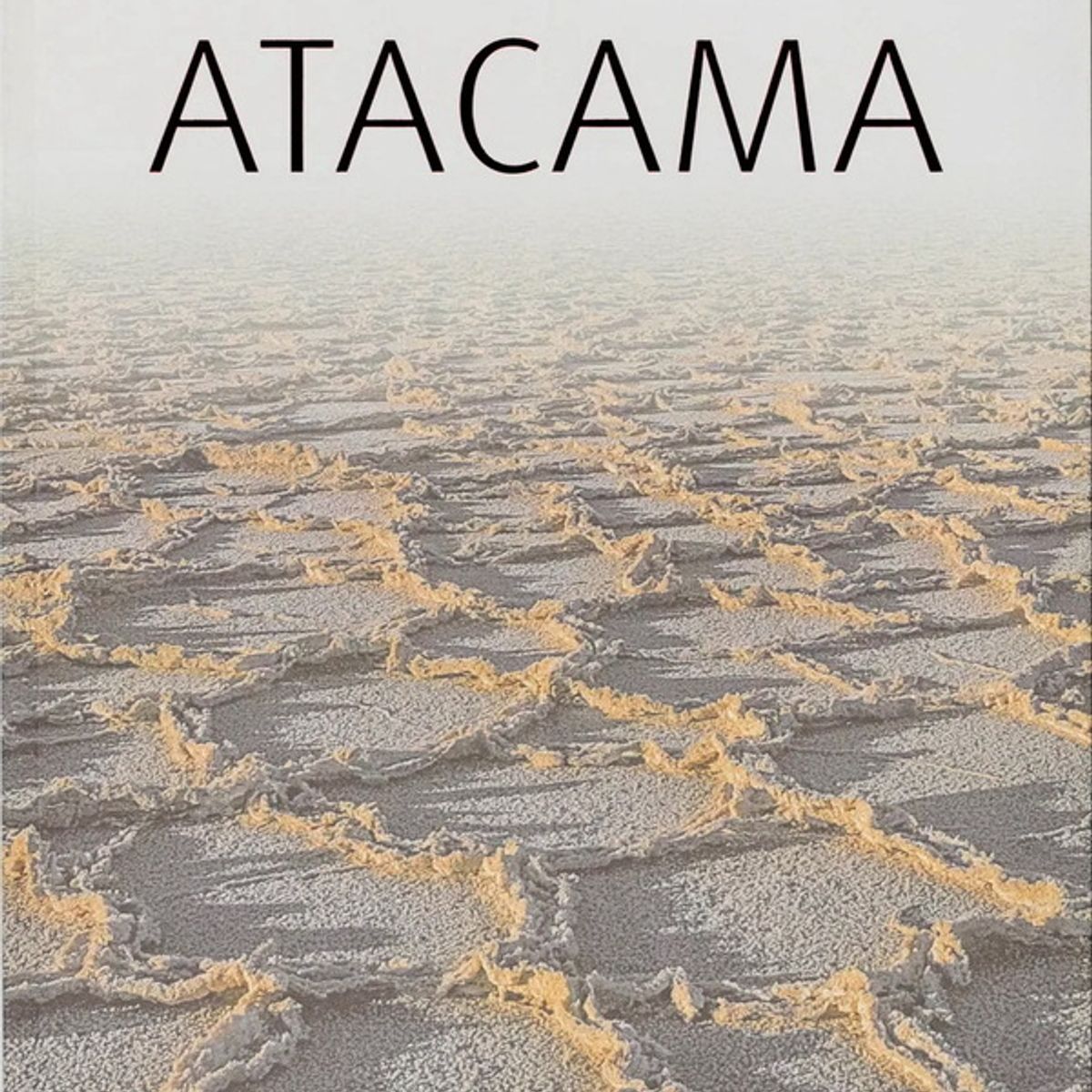 ANTARTICA LIBROS - Atacama