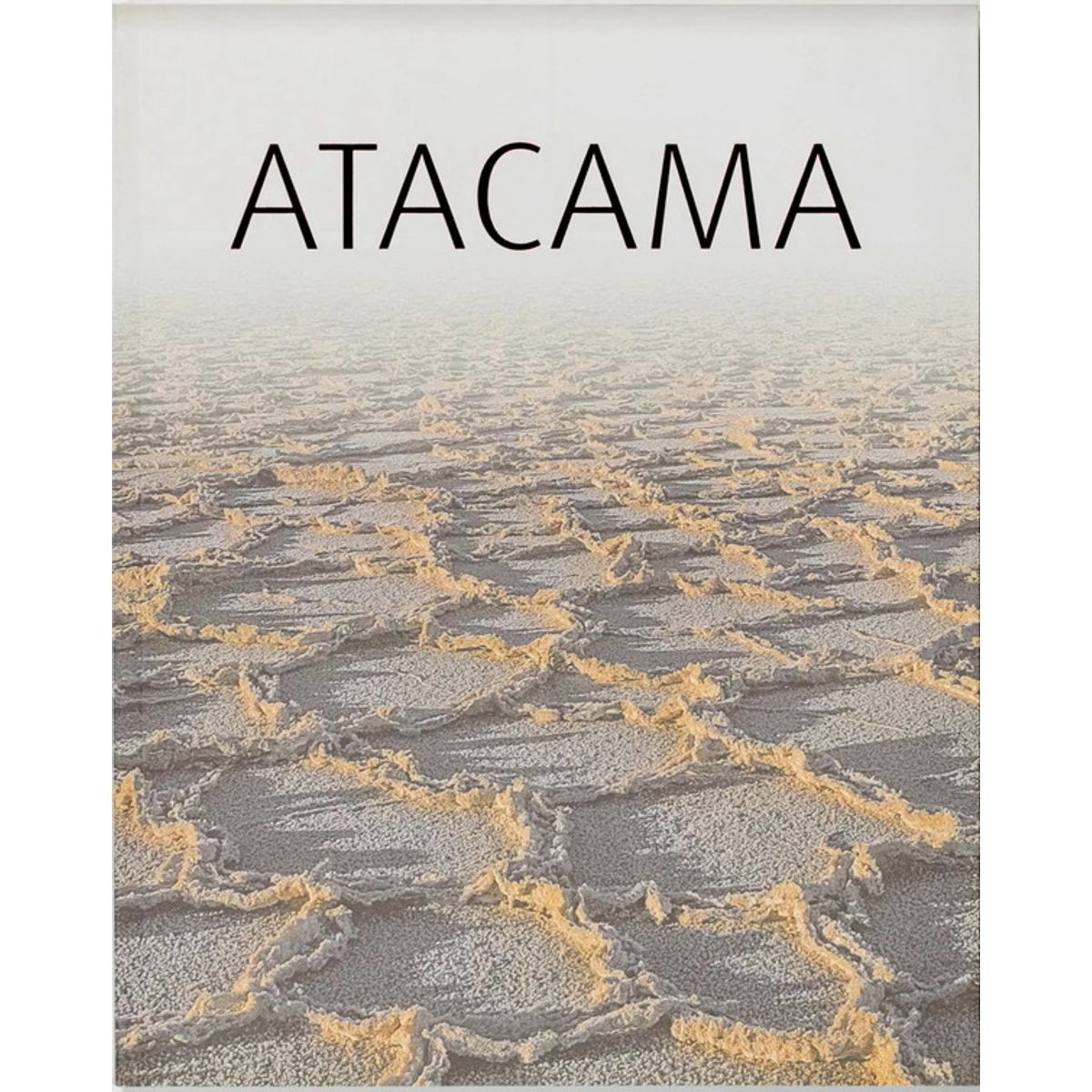 ANTARTICA LIBROS - Atacama