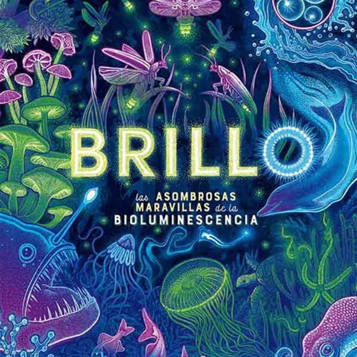 ANTARTICA LIBROS - Brillo