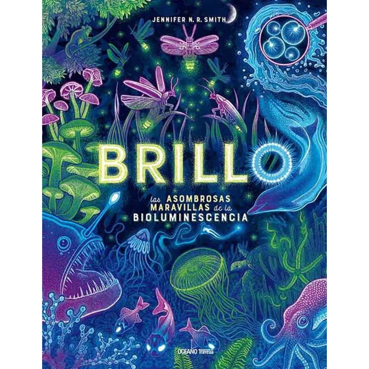 ANTARTICA LIBROS - Brillo