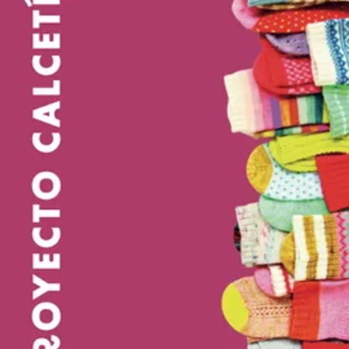 ANTARTICA LIBROS - Proyecto Calcetin