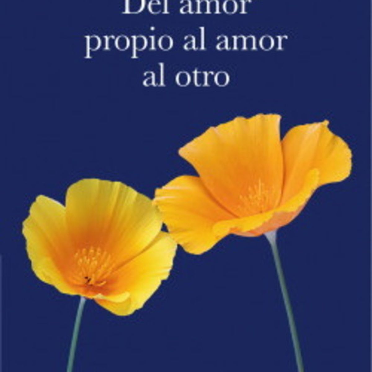 ANTARTICA LIBROS - Del Amor Propio Al Amor Al Otro