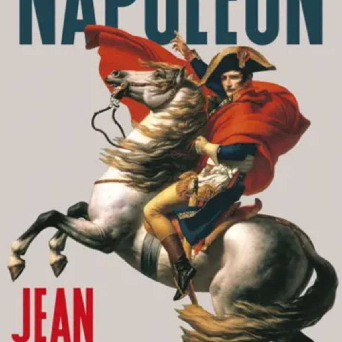 ANTARTICA LIBROS - Napoleon