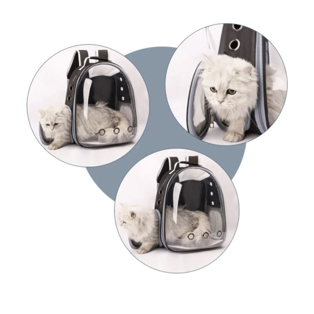 OKAY - Mochila Bolso Transparente Mascota Perro Y Gato Color Negro