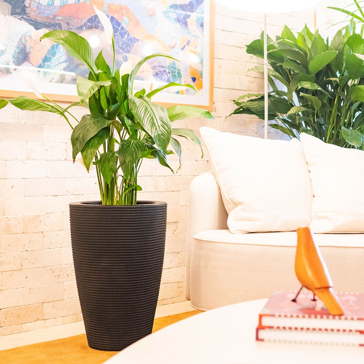 MILK - Macetero Cone Riscato 55 Negro Con Plato