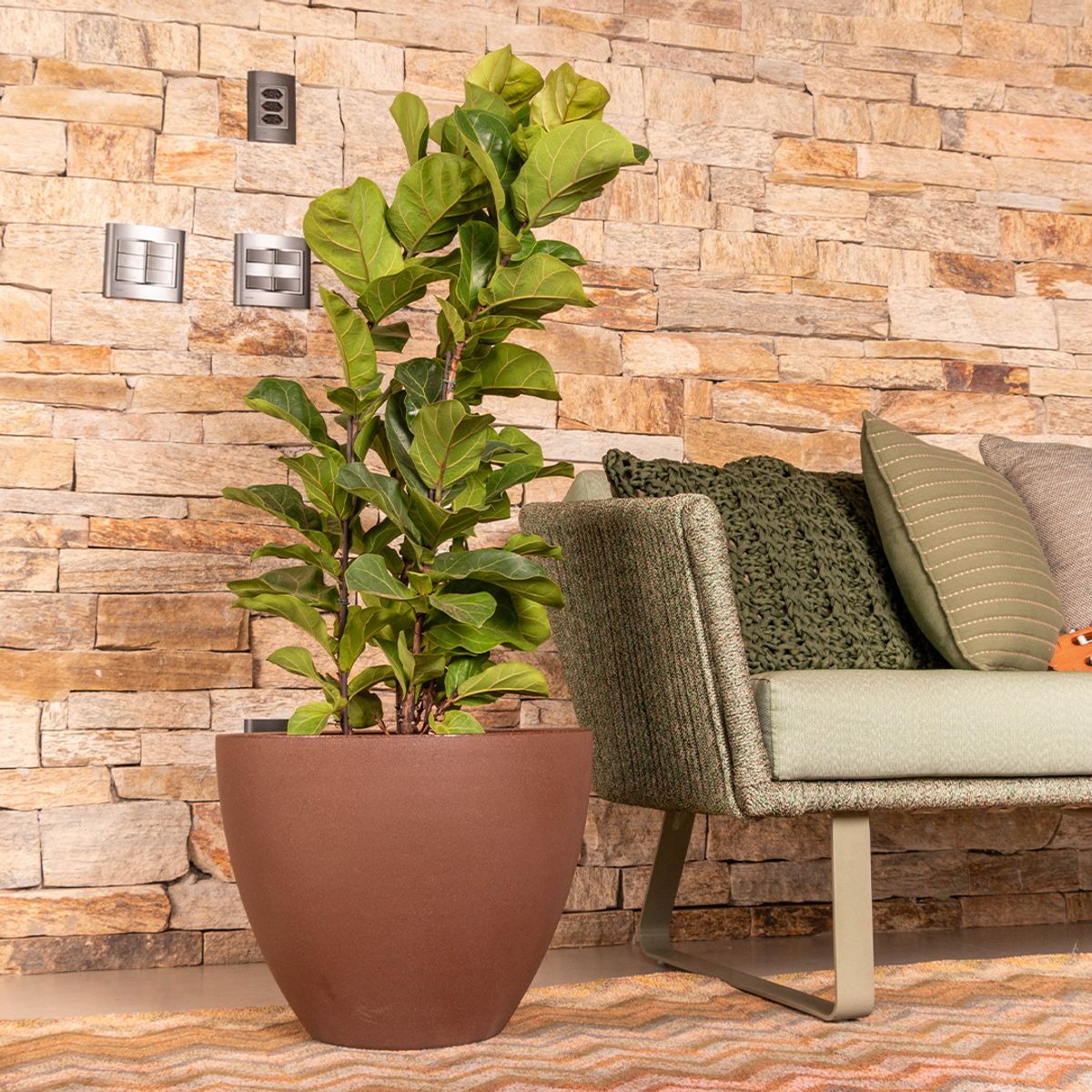 MILK - Macetero Cone Bajo 36 Café Con Plato