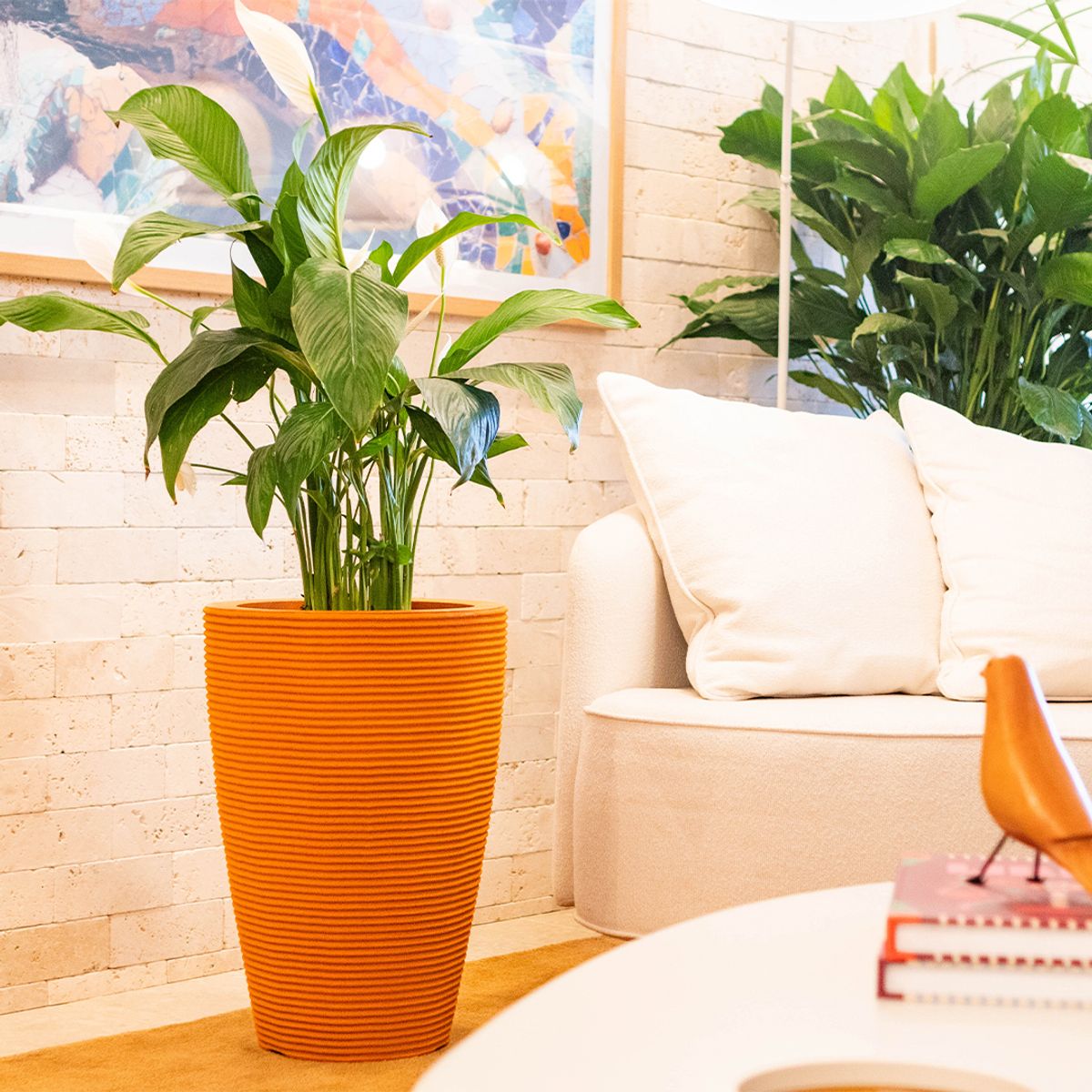 MILK - Macetero Cone Riscato 55 Terra Con Plato