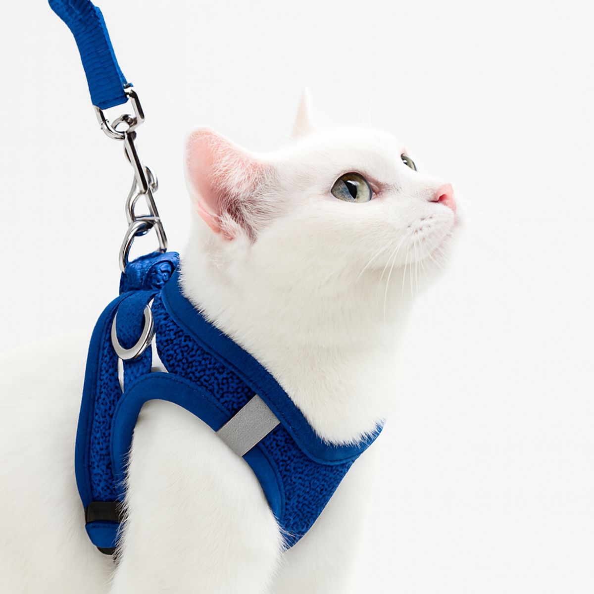 HOOPET - Arnés Ajustable Para Mascotas Gatos Perros Pequeños Talla S